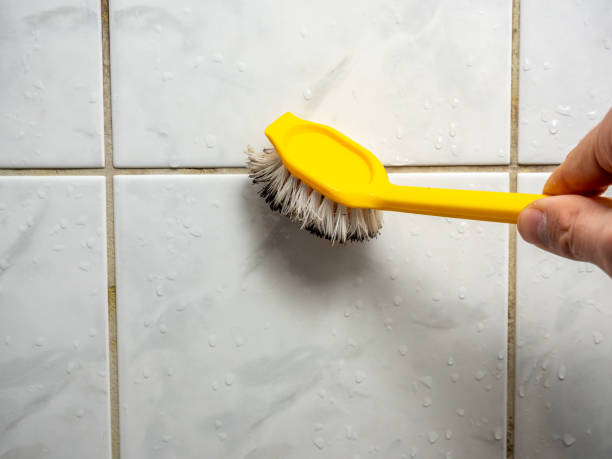 Best Mold Removal Near Me  in Fairmont, NC