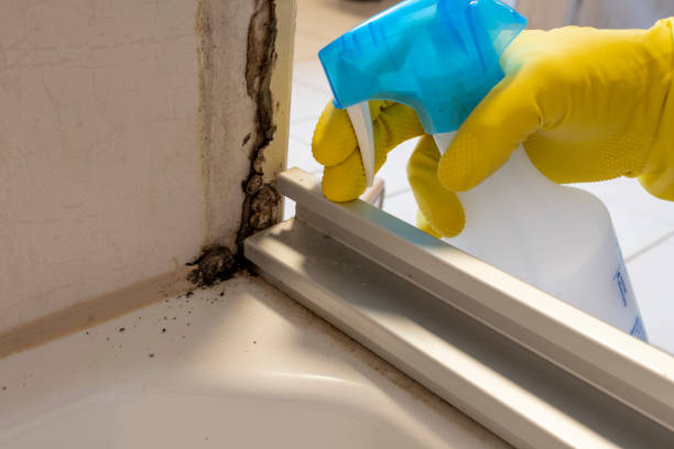 Best Mold Testing  in Fairmont, NC
