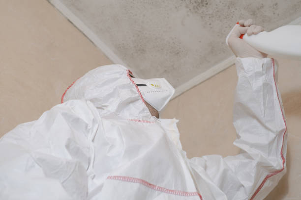 Best Crawl Space Mold Removal  in Fairmont, NC